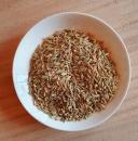 Fenchel